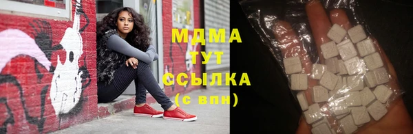 сатива Беломорск