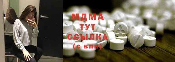 сатива Беломорск