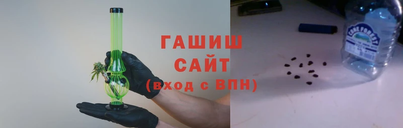 сатива Беломорск