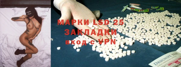 сатива Беломорск