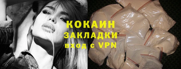 сатива Беломорск