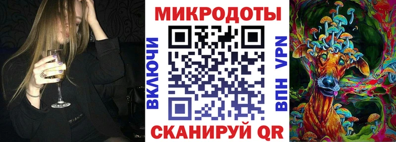 закладка  Афипский  Галлюциногенные грибы Cubensis 